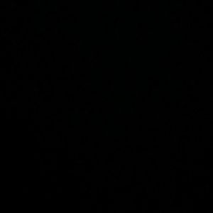 Meet your Posher, Gracie